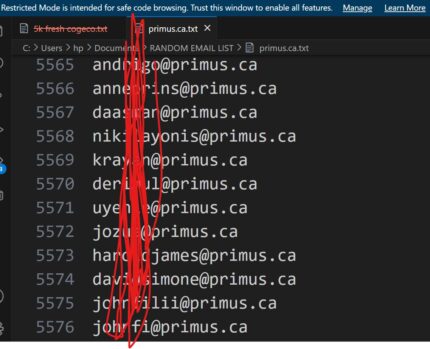 Primus Prime 5K: Exclusive High-Intent SEO Lead List